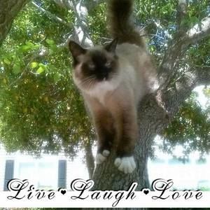 Meet your Posher, Diane